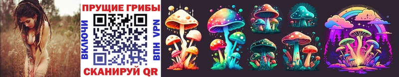 Псилоцибиновые грибы Psilocybe  наркотики  гидра ТОР  Иннополис 